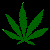 Download the HighGrow game!